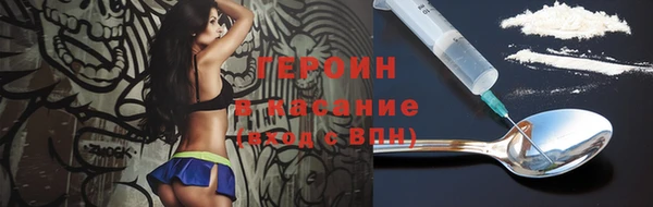 индика Осташков