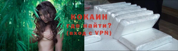 индика Осташков