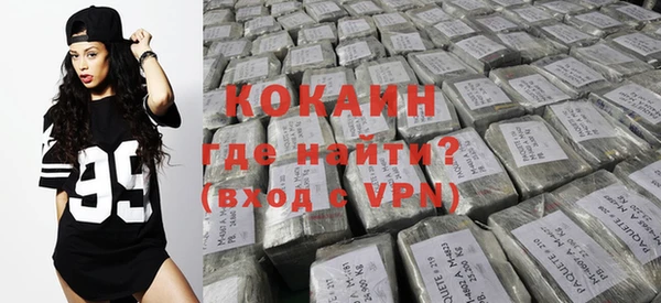 индика Осташков