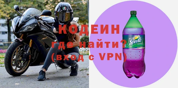 индика Осташков