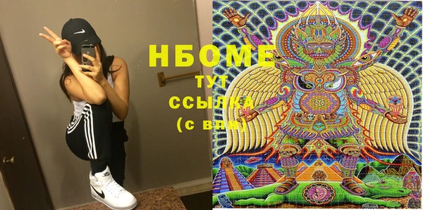 индика Осташков