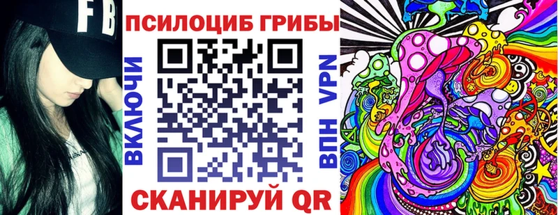 где можно купить   Борисоглебск  Галлюциногенные грибы Magic Shrooms 