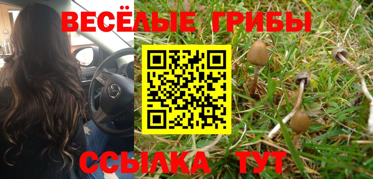 Псилоцибиновые грибы MAGIC MUSHROOMS Борисоглебск