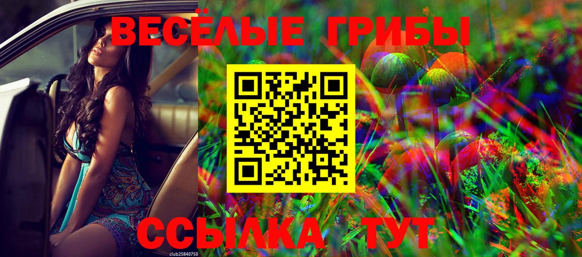 Псилоцибиновые грибы GOLDEN TEACHER  Галлюциногенные грибы прущие грибы  Борисоглебск  Вход с VPN 