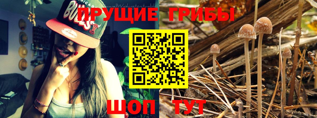 Галлюциногенные грибы MAGIC MUSHROOMS Борисоглебск