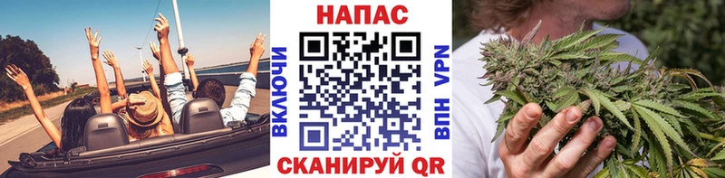 Бошки марихуана конопля  Борисоглебск 